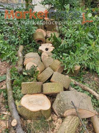 Free Tree Logs - Agia, Никосия