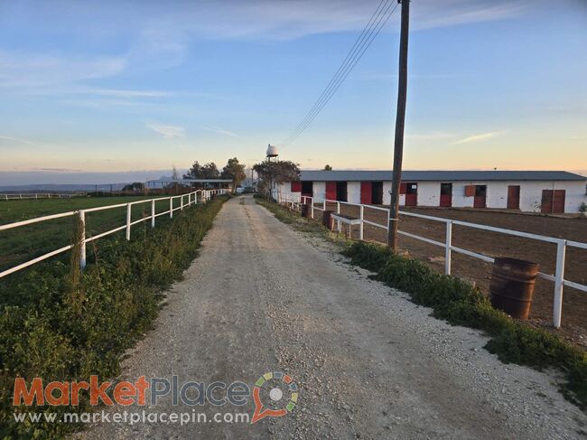 Ζητούνται Συνεργάτες για Ανάπτυξη Πολυχώρου Αναψυχής & Ιππασίας - Malounta, Nicosia